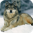 Wolf Sounds APK Download