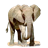 Widgets store: Elephant icon