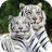 White Tiger Cube LWP icon