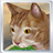 Cat Pet3D icon