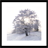 wintertree APK Download