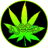 Weed Marijuana Live Wallpapers icon