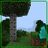 Tree Capitator PE Mod 3.03