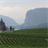 Wineries Wallpaper! icon
