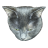 Weird Cat Sounds icon