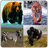 Animal sounds Ringtones icon