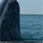 Whales Breaching Wallpaper! icon