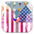 US Flag Zipper Lock icon