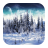 Winter Pictures icon