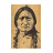 Traduttore Lakota icon