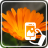 Photos of Flowers icon