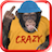 Angry Talking Monkey icon