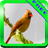 BIRDS SOUNDS AMAZING SELECTION icon
