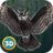 Owl Bird Survival icon