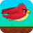 Fly Bird Fly APK Download