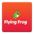 Flying Frog icon