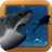 Shark Attack icon