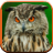 Owl Sounds for Kids 1.1