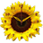 Sun Flower Clock version 1.2
