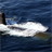 Nuclear Submarines Wallpaper! icon