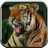 Tiger Sounds for Kids icon