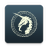 THU Survival Guide icon