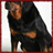 Rottweiler Puppy Wallpaper App icon