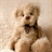 Teddy Wallpaper icon