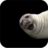 Selfie Seal icon
