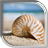 Seashells Live Wallpaper version 1.0