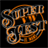 Super VW Fest icon