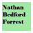 Nathan Bedford Forrest icon