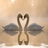 swan Wallpapers HD icon