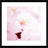 pinkflower icon