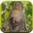 Monkey Sounds for Kids icon