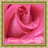 Romantic Sms Collection icon