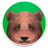 Oso TED icon