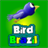 Bird Brazil icon