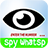 Spy whatssp icon