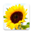 My Flowers Images icon