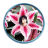 Lily Flower Photo Frames icon