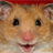 Rationalization Hamster icon