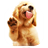 Super Dog Lick Screen LWP icon