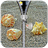 Sea Shell Zipper Lock icon