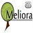 Meliora 2014 icon