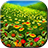 Sunflower Live Wallpaper icon