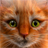 My Kitten (Virtual Pet) icon
