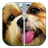 Puppy Dog Zipper ScreenLock icon