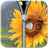 Sunflower Zipper Lock icon