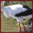 Storks Wallpaper App icon